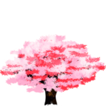 手绘樱花素材
