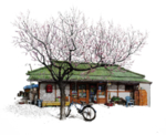 手绘樱花素材