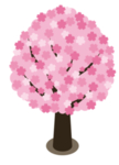 粉色樱花装饰