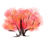 樱花装饰