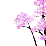 樱花装饰