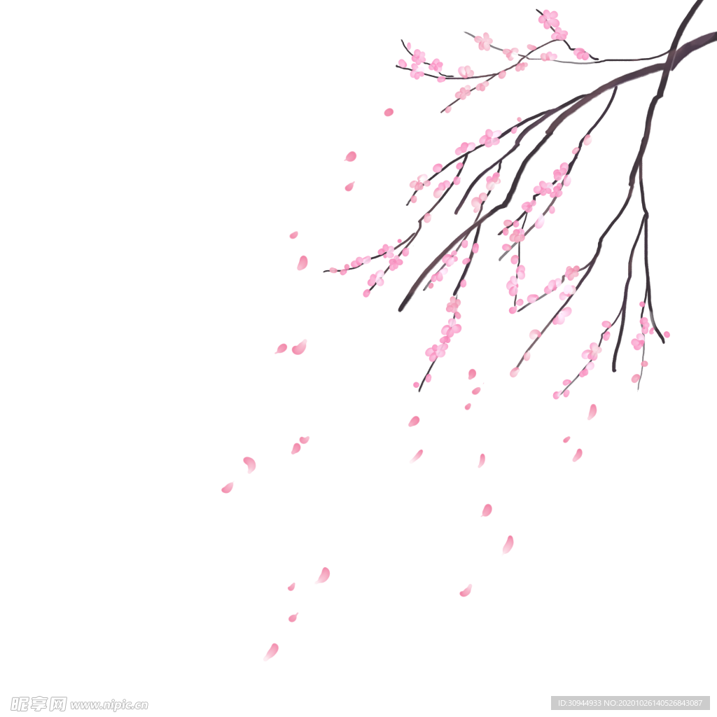 樱花装饰