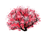 樱花装饰