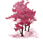 樱花装饰