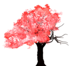 樱花装饰