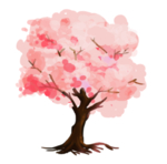 樱花素材