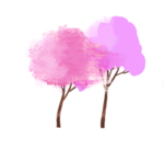 樱花素材