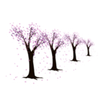 樱花素材