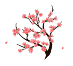 手绘桃花