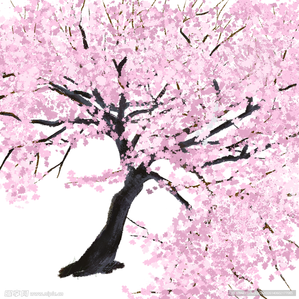 樱花素材