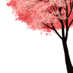 樱花素材