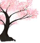 手绘樱花