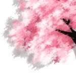 手绘樱花