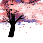 手绘樱花