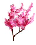 手绘樱花