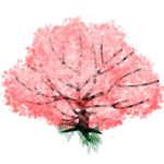 手绘樱花