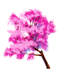 手绘樱花