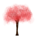 手绘樱花