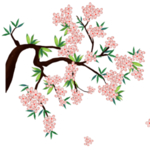 手绘樱花