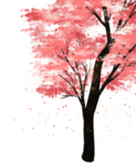 樱花素材