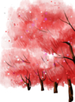 樱花素材