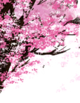 樱花素材