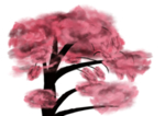樱花素材