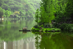 绿色山水风景