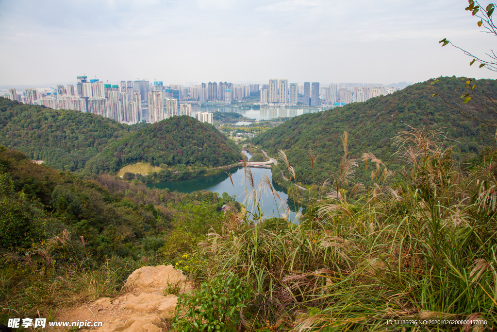 桃花岭景区