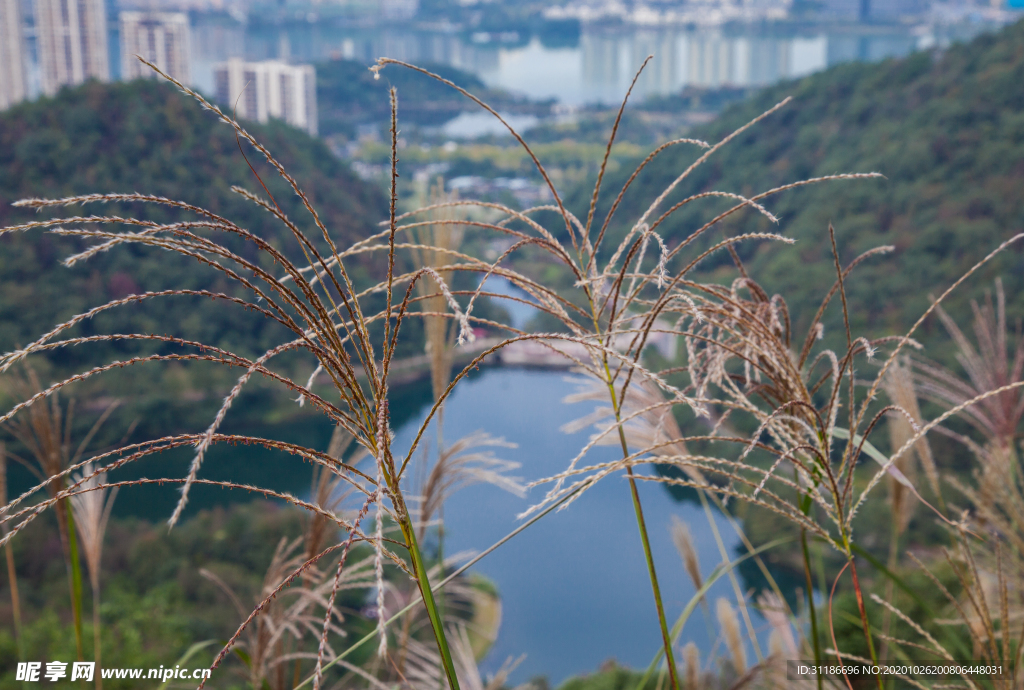 桃花岭景区