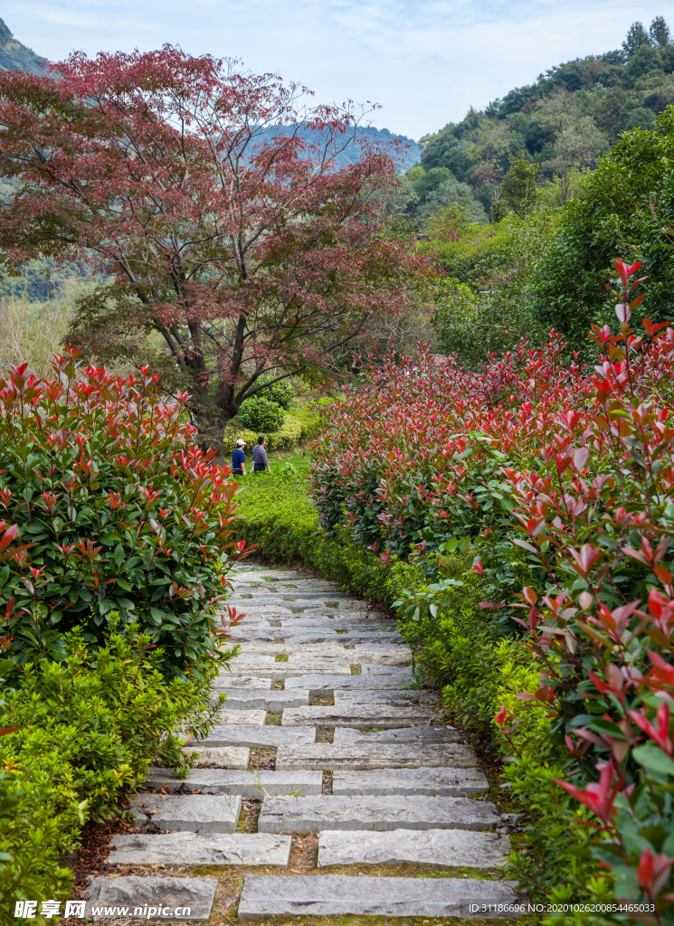 桃花岭景区