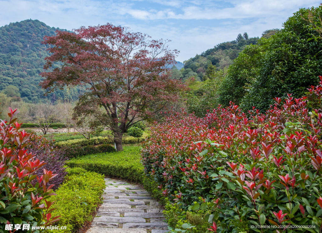桃花岭景区