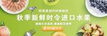 蔬果生鲜促销
