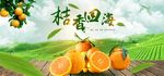 蔬果生鲜促销