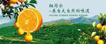 蔬果生鲜促销