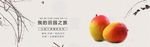 蔬果生鲜促销