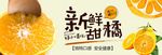 蔬果生鲜促销