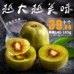食品主图