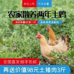 食品主图