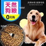 食品主图