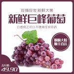 食品主图