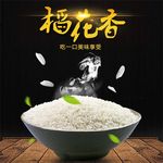 食品主图