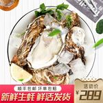 食品主图