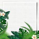 淘宝主图背景