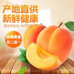 淘宝主图背景