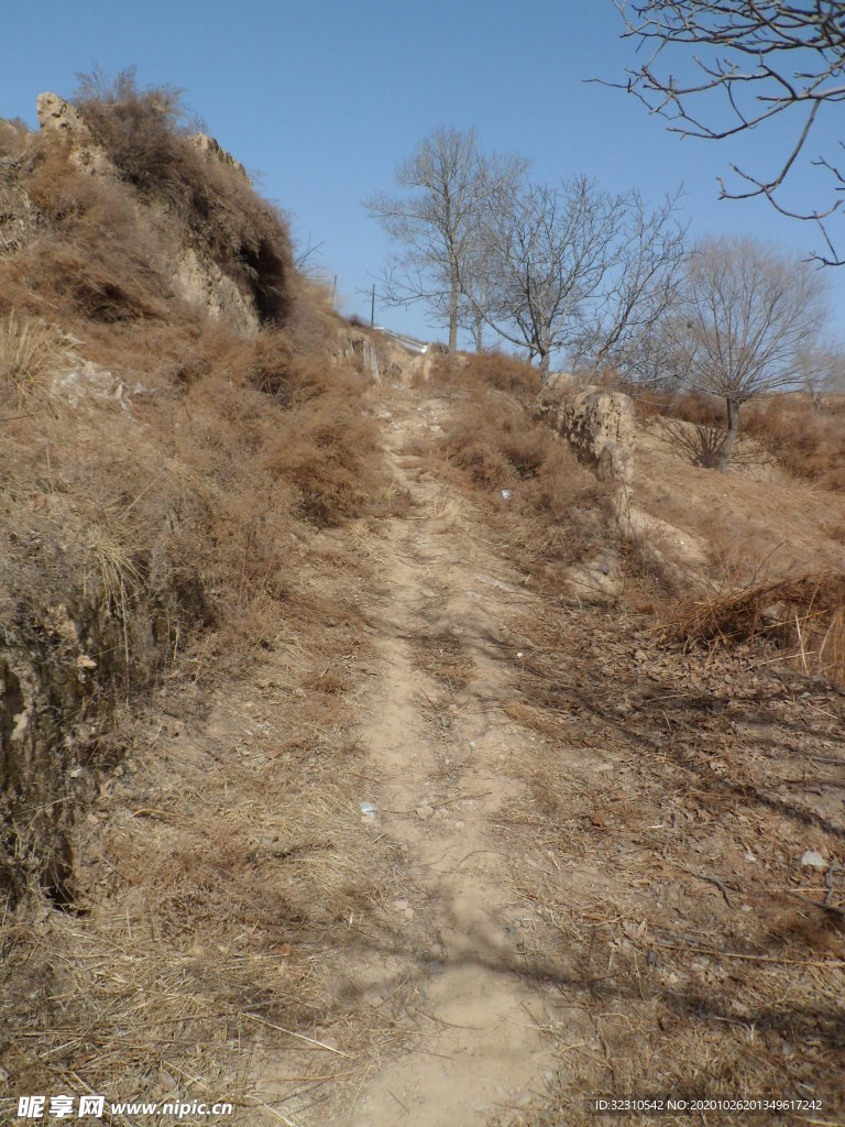 路