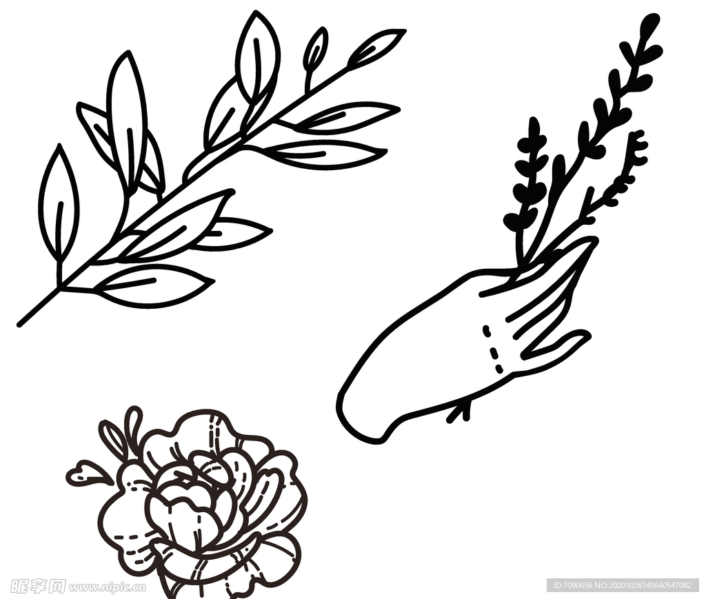 植物花朵