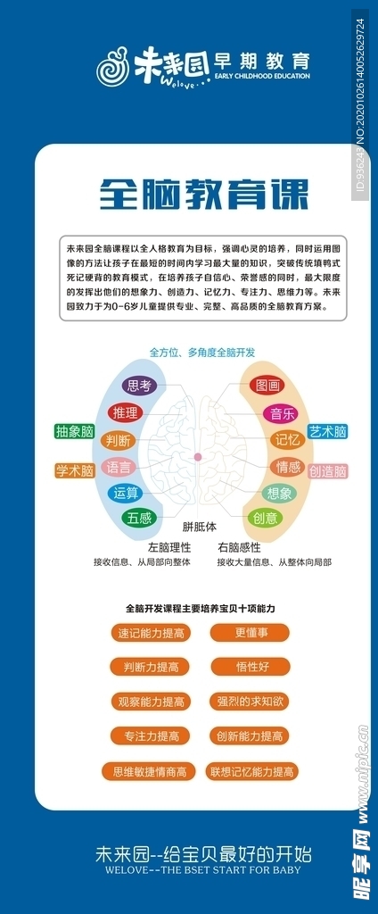 全脑课程展架