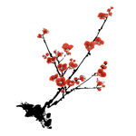 水墨梅花png素材