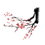水墨梅花png素材